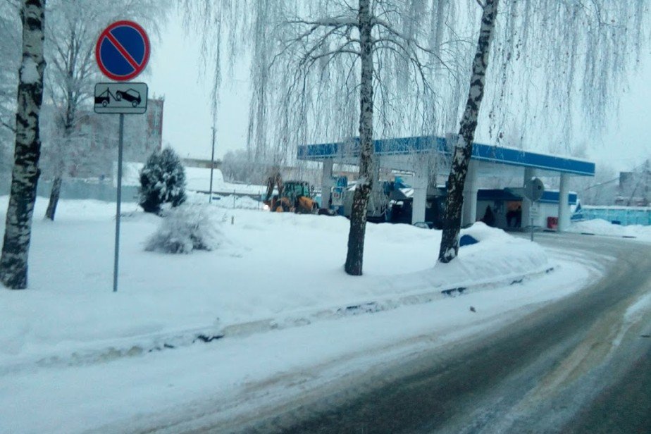 Медведев отслеживает ситуацию с ценами на бензин