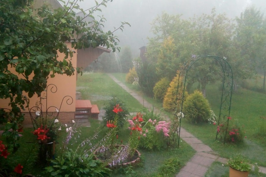 Дачникам продлят амнистию