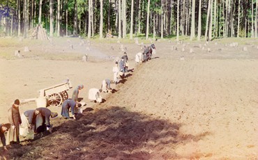 От “цертовых катышков” до “картошки-матушки”