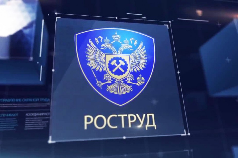 О задачах и полномочиях Федеральной инспекции труда