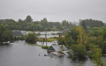 Приморские профсоюзы добиваются изменения законодательства об агростраховании