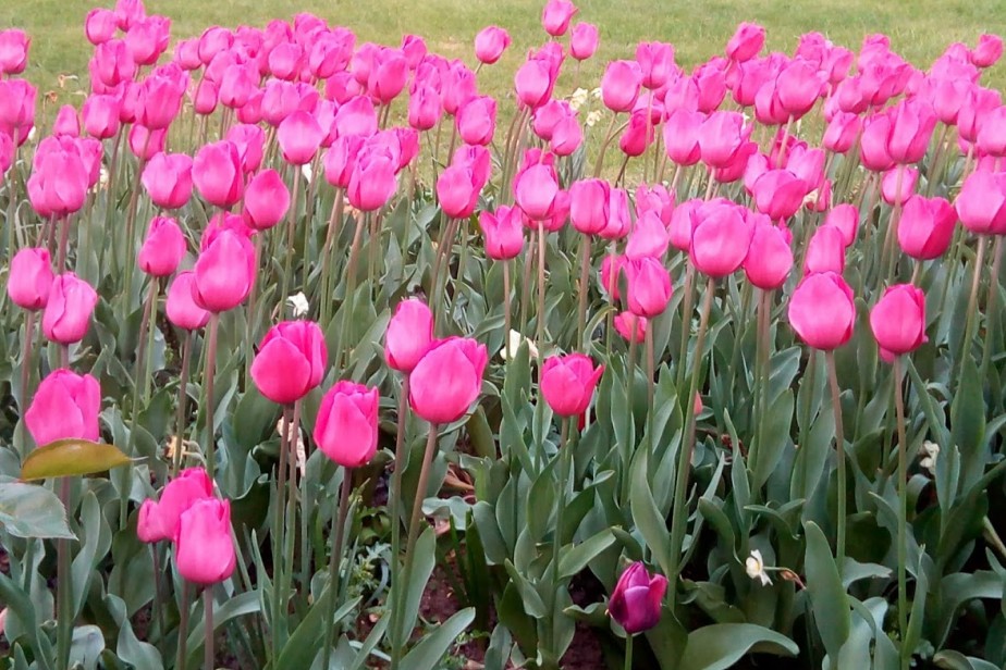 В марте россиян ждет короткая рабочая неделя В марте россиян ждет короткая рабочая неделя