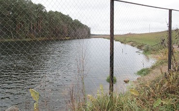 Захват водоемов будет караться строже