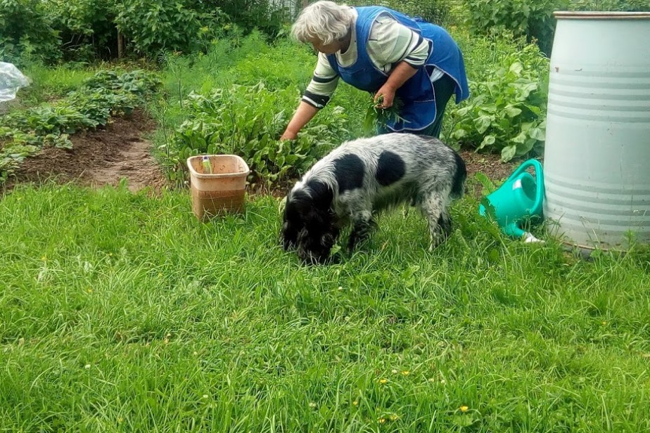 Режим самоизоляции для пенсионеров предложили смягчить Режим самоизоляции для пенсионеров предложили смягчить