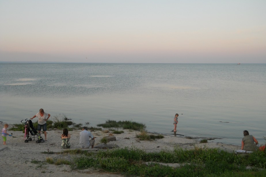 Социальные чеки для туристов предлагают ввести в России Социальные чеки для туристов предлагают ввести в России