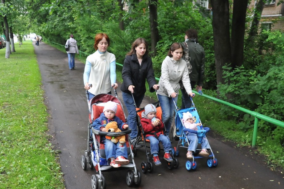 Осенний подвоз