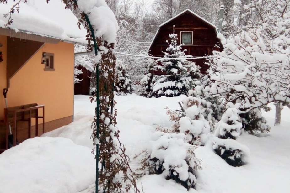 Дачную амнистию продлили на пять лет