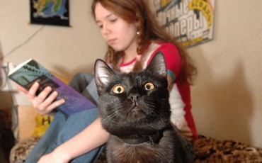 Ректор, покажи платежку