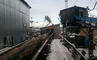 Полная чаща