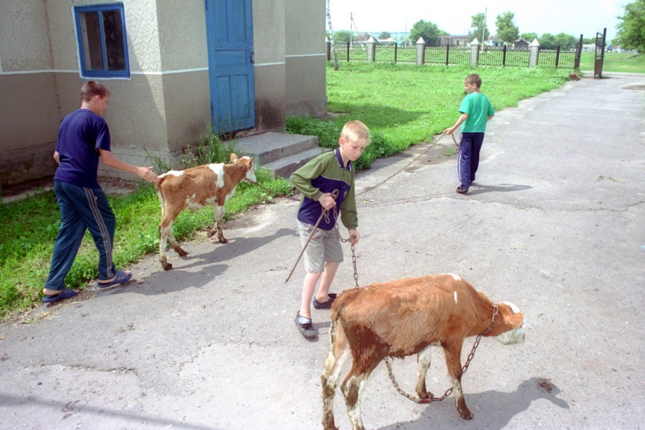 Экономика усыновления