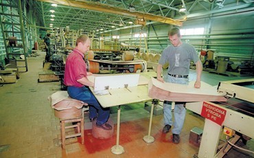 Собака на картоне