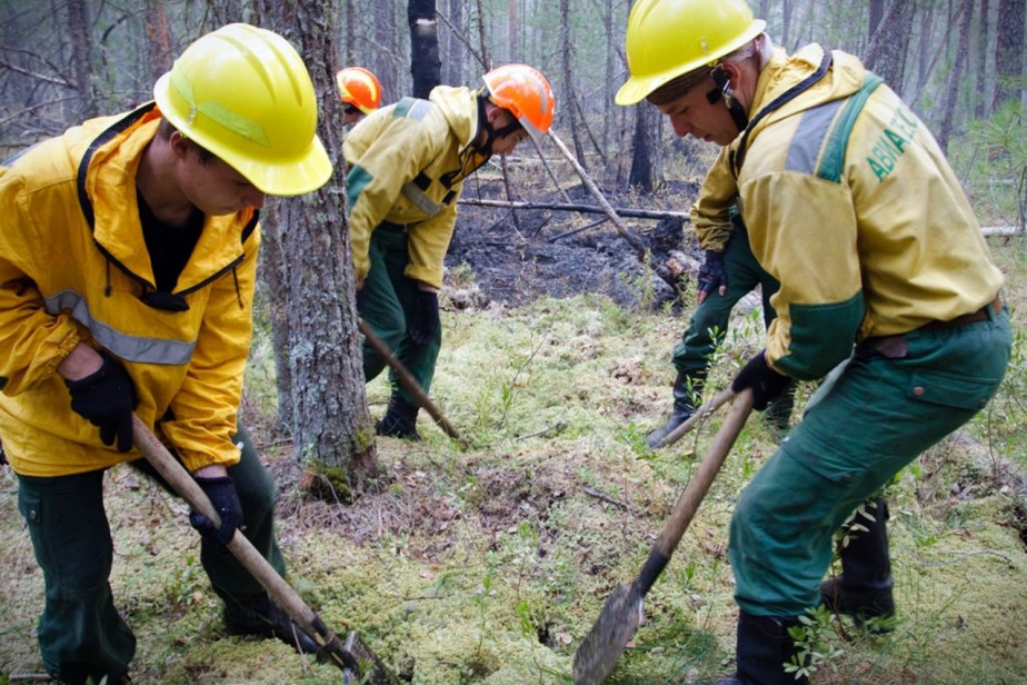 Тушите пожары сами!..