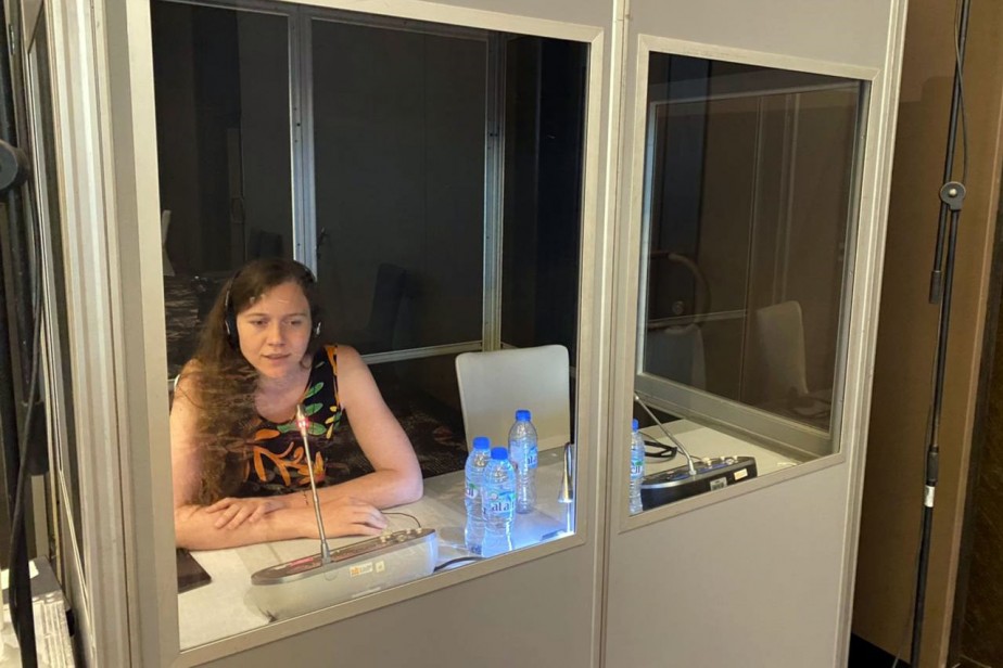 Переводчик-синхронист