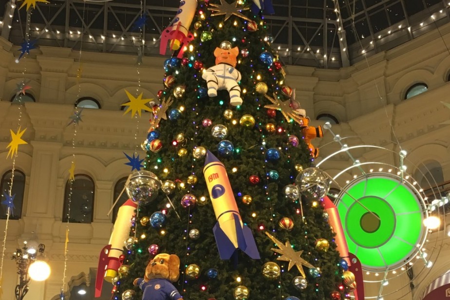 В России подорожали новогодние елки