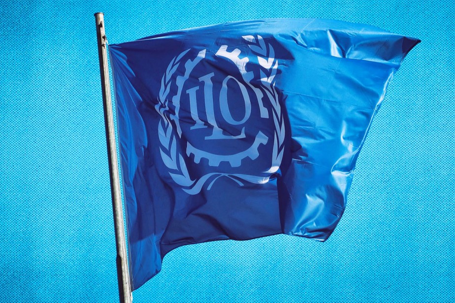 Дивный новый мир