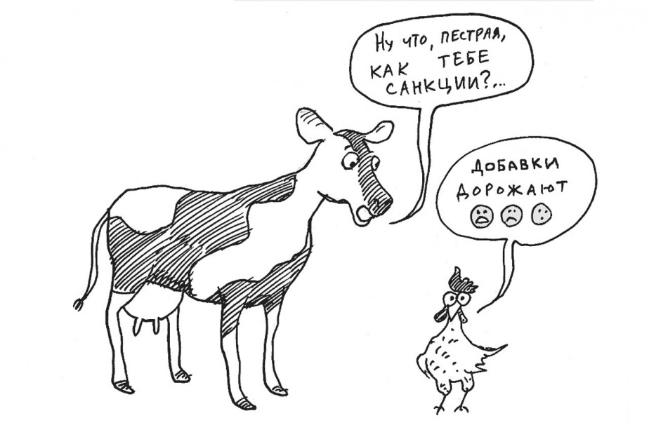 Без вариантов