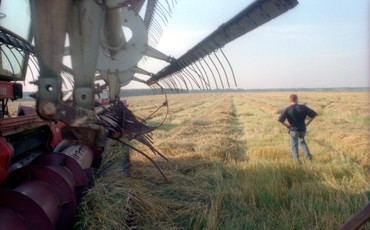 Техническое поражение