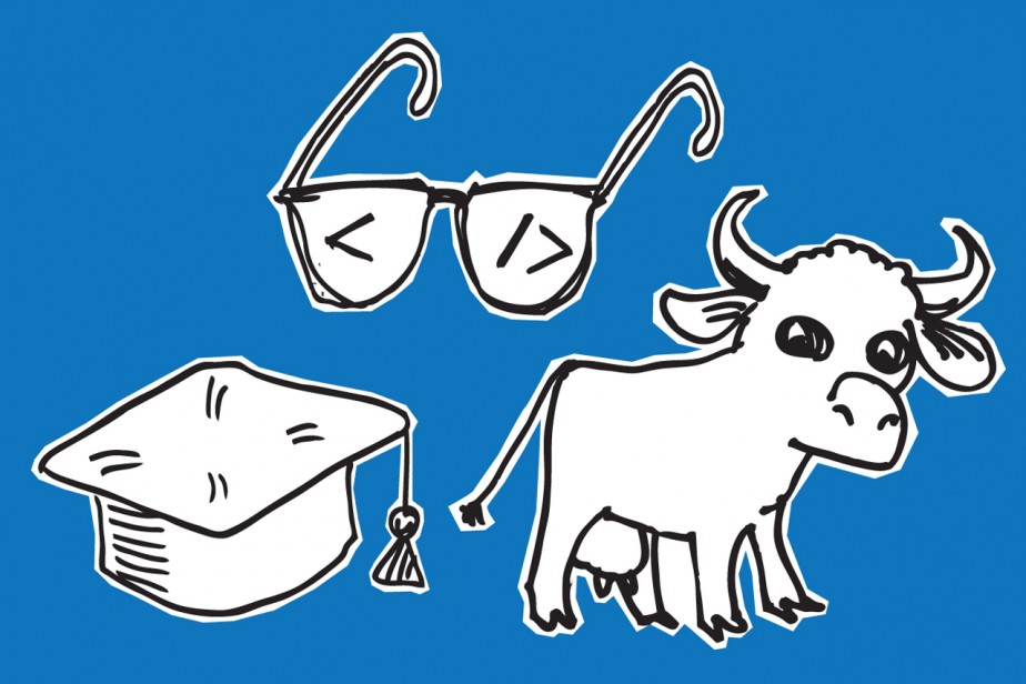 Куда пойти учиться? Куда пойти учиться?