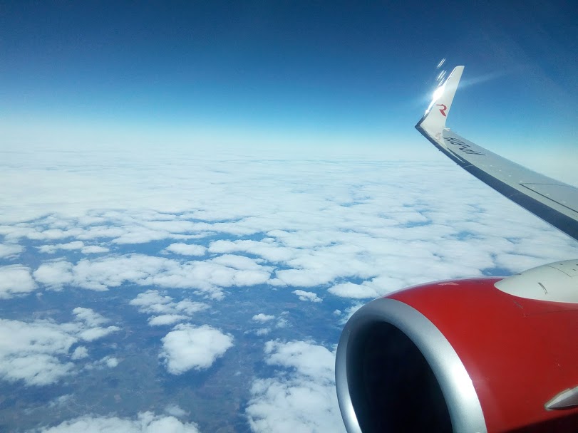 Треть пилотов Airbus отправят в простой в авиакомпании «Россия»