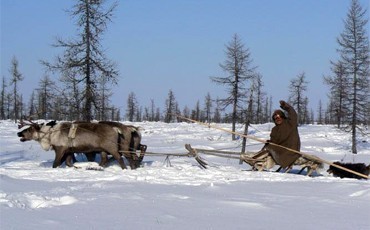 Единый принцип компенсаций - всем северянам