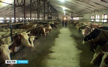 Под угрозой ковровой застройки