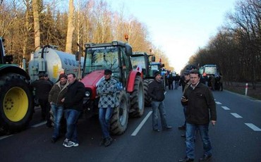 Свиноводы негодуют