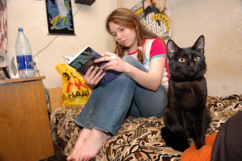 Соседи, тараканы и ремонт