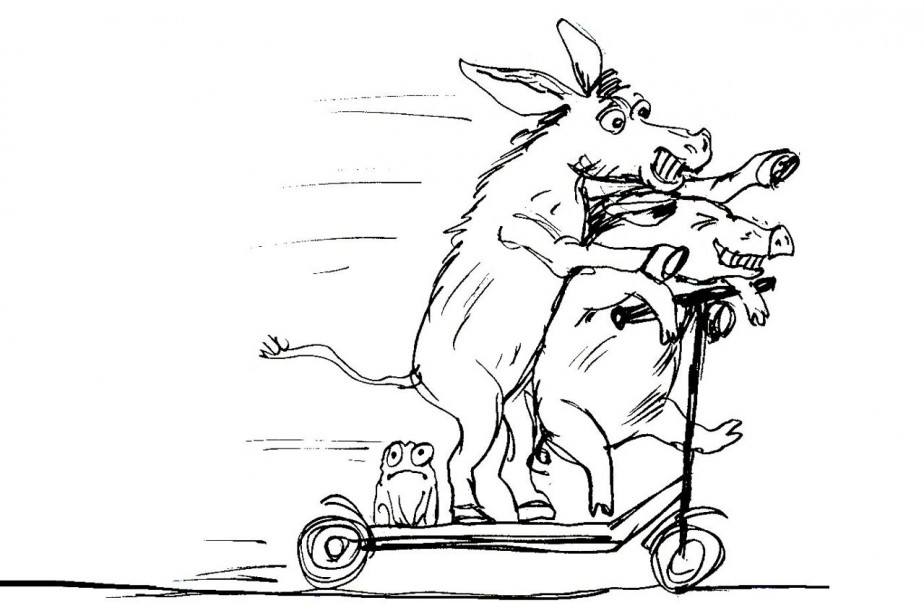 Плюс самокатизация страны