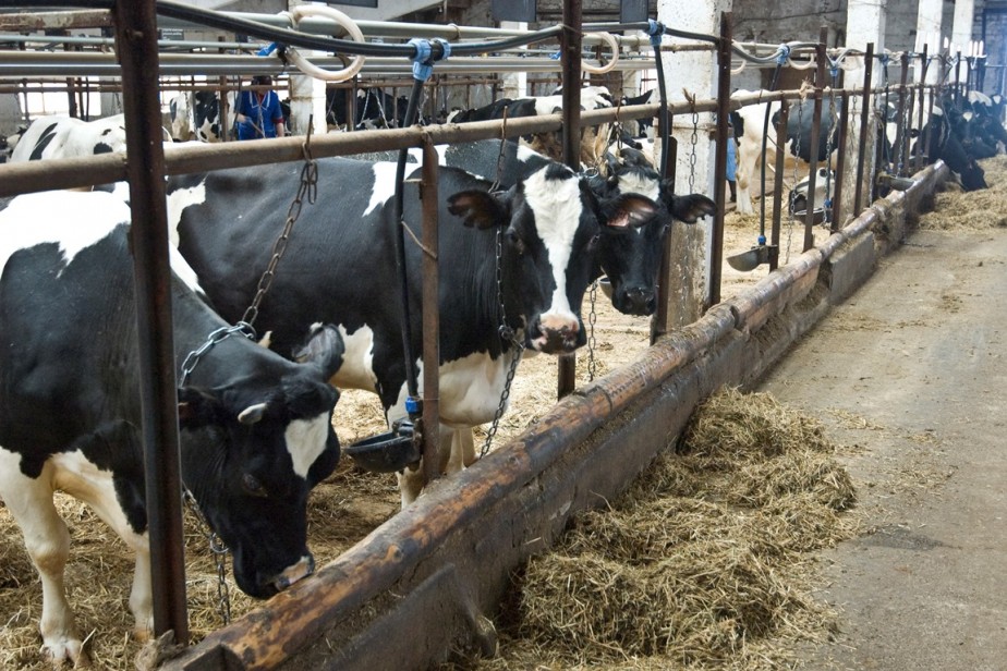 К 2030 году спрос на сотрудников сократится в сельском хозяйстве, недвижимости и торговле