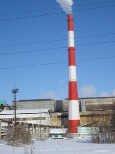 Бывшие работники БЦБК дали властям месяц на размышление