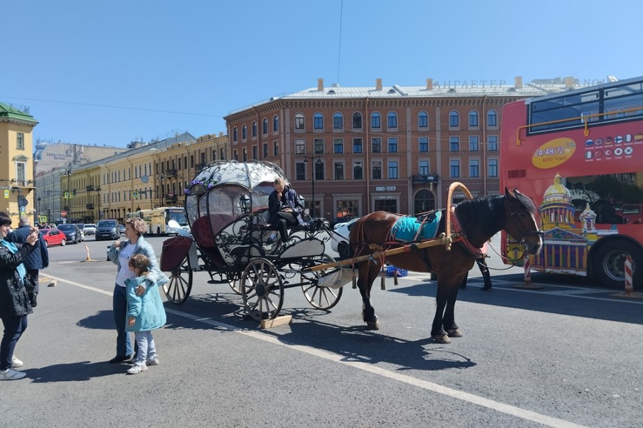 Туристы заплатят по 100 рублей в день за посещение Санкт-Петербурга Туристы заплатят по 100 рублей в день за посещение Санкт-Петербурга