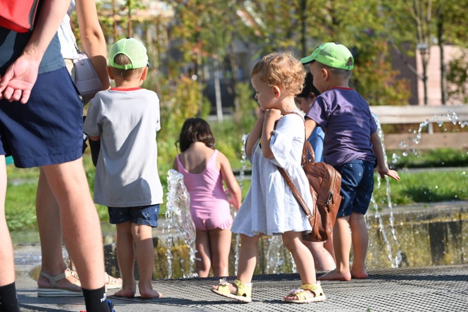 Депутаты предлагают провести «демографическую спецоперацию»