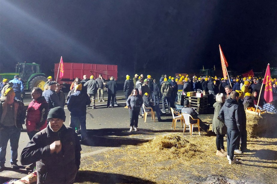 Во Франции возобновились протесты фермеров