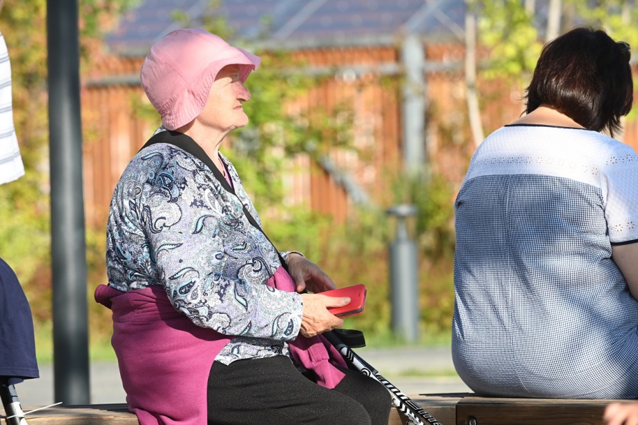 В Союзе пенсионеров назвали справедливый размер пенсии