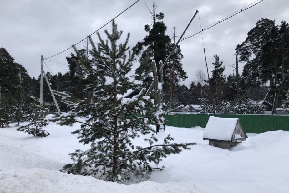 Депутаты предлагают ввести новогоднюю выплату малообеспеченным семьям