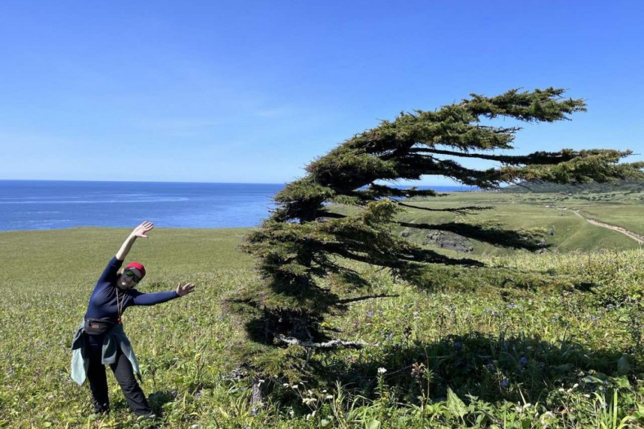 Пермские профсоюзные организации вновь блеснули на конкурсе «Профсоюзная ВДНХ»
