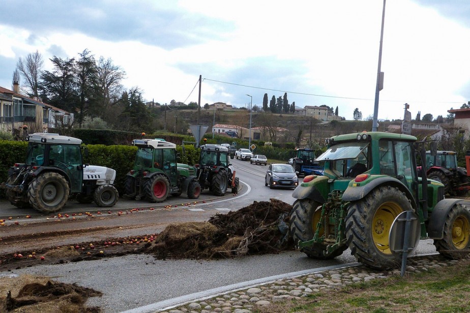 Топ забастовок 2024 года