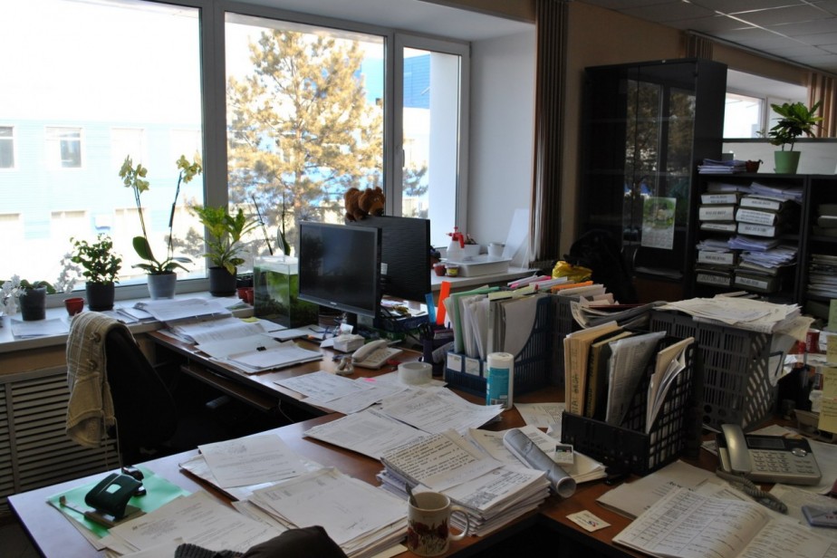 Бессараб: разработан законопроект о 36-часовой рабочей неделе