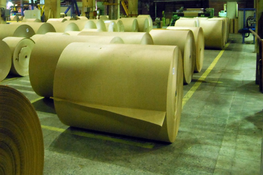 “Мы требуем свое право на труд”