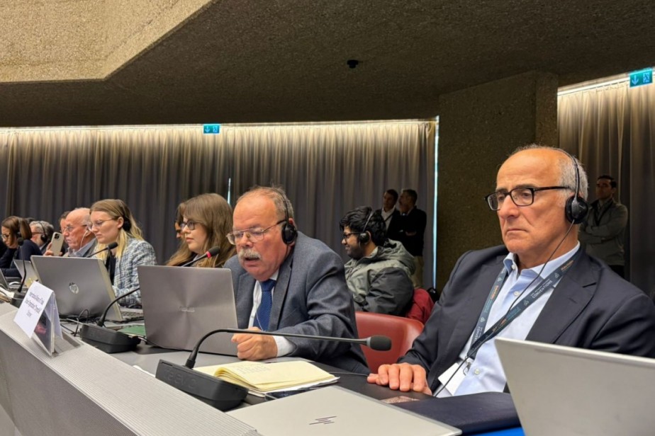 Женевская победа: хризотил не включен в запретительный список