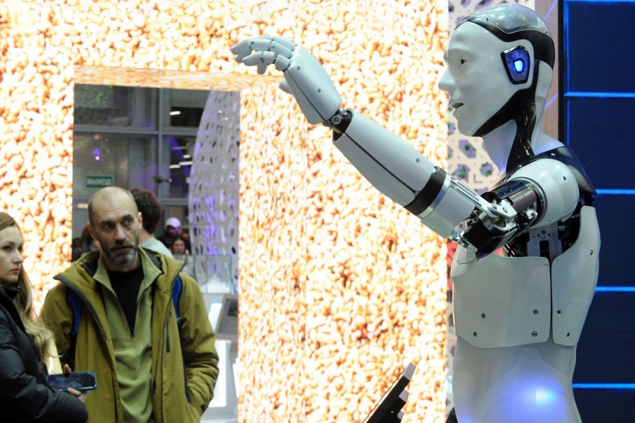 Алгоритмическая предвзятость