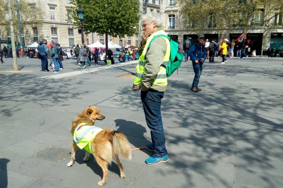 В сентябре Франции грозит всеобщая забастовка В сентябре Франции грозит всеобщая забастовка
