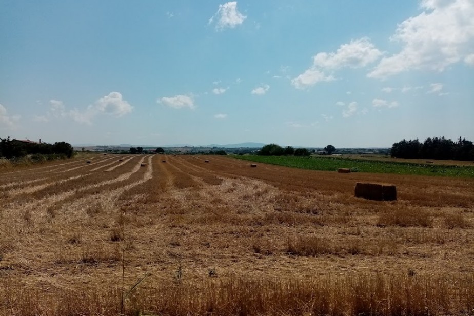 Девять из десяти сельхозпредприятий Ставрополья нарушают правила охраны труда