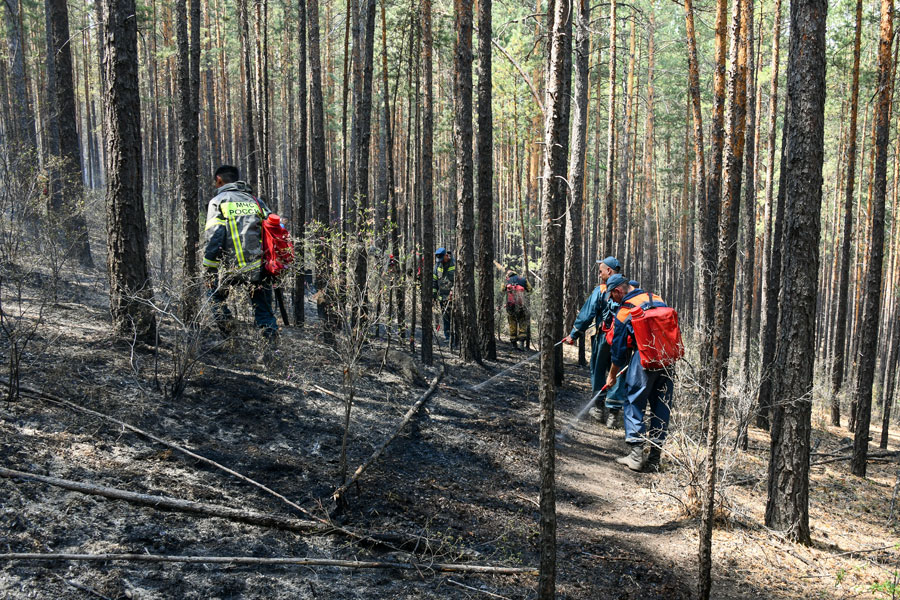 Пожар не делит надвое