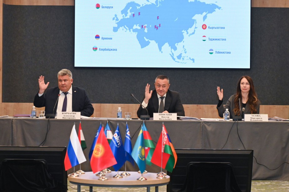 Зажиточный минимум