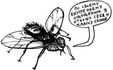 Между верхом и низом