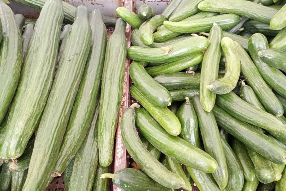 Огурцы стали самым подешевевшим продуктом