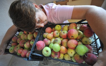 Яблочный бумеранг