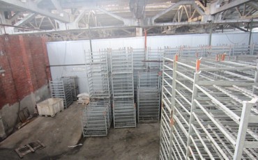 Вот тебе, бабушка, и рыбный день