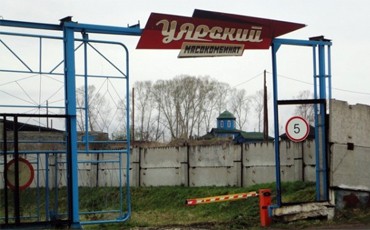 Долг со стыда красен